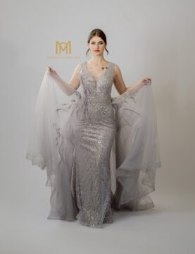 Nude V-Neck Mermaid Gown with Sheer Sleeves
