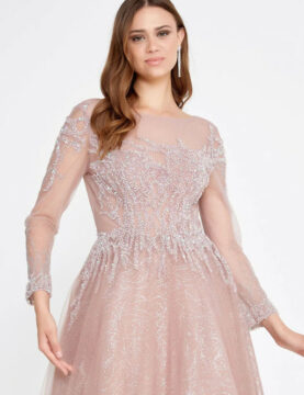 Blush Beaded Long-Sleeve Tulle Gown