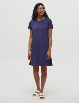 Birchwood Dress - Blue