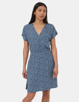 Kits Dress - Blue