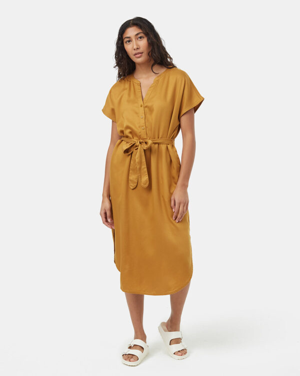 Brown-V-Neck-Cap-Sleeve-Belted-Midi-Dress-TCW6081-0061_1.jpg Brown-V-Neck-Cap-Sleeve-Belted-Midi-Dress-TCW6081-0061_1.jpg