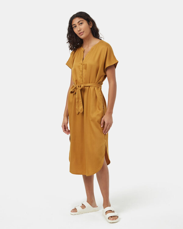 Brown-V-Neck-Cap-Sleeve-Belted-Midi-Dress-TCW6081-0061_2.jpg Brown-V-Neck-Cap-Sleeve-Belted-Midi-Dress-TCW6081-0061_2.jpg