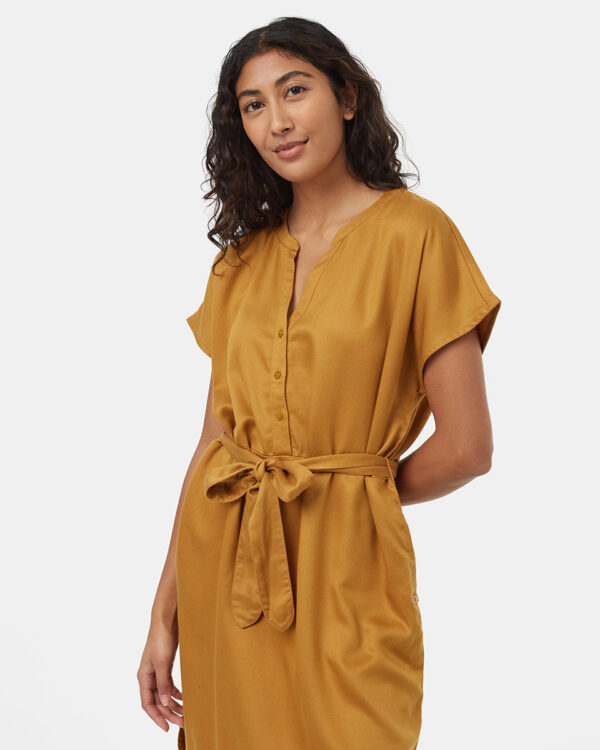 Brown-V-Neck-Cap-Sleeve-Belted-Midi-Dress-TCW6081-0061_3.jpg Brown-V-Neck-Cap-Sleeve-Belted-Midi-Dress-TCW6081-0061_3.jpg